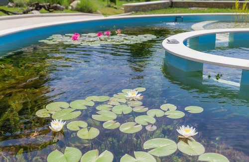 Momjan Villa | Stunning private villa for 6 people with private pool, A/C, WIFI, terrace and pets allowed