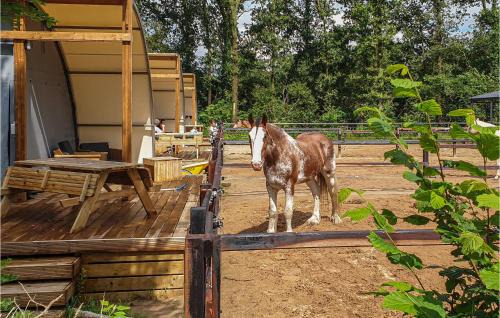 Hoogersmilde Other | Stunning StaCaravan In Hoogersmilde