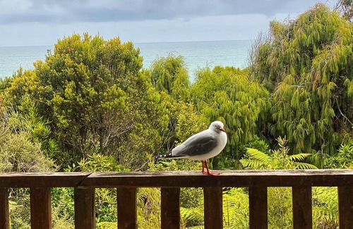 Punakaiki House | Stunning views of the Parinui