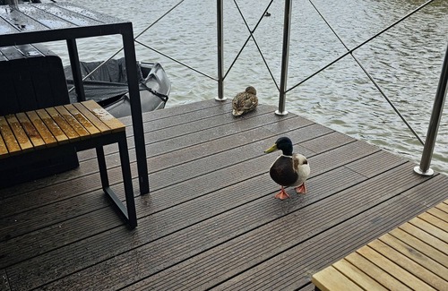 Monnickendam Boat Rental | Stylish, Brand-new Houseboat in Monnickendam, Near Amsterdam