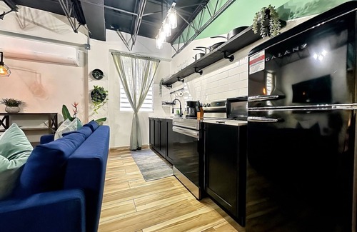 Hipodromo Apartment | Stylish Loft at Lofts @ Santurce