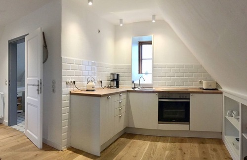 Oldenswort Apartment | Stylish under thatch with park-like garden on the island Eiderstedt/Oldenswort