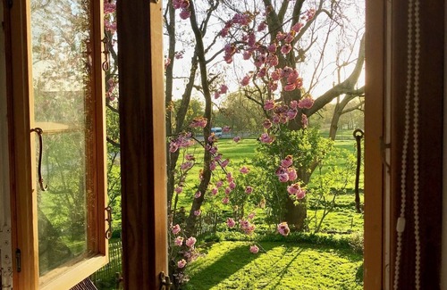 Oldenswort Apartment | Stylish under thatch with park-like garden on the island Eiderstedt/Oldenswort