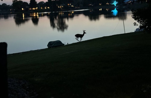Troy House | Summer Lake House MI