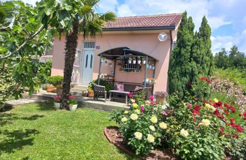 Citluk House | Sun Garden