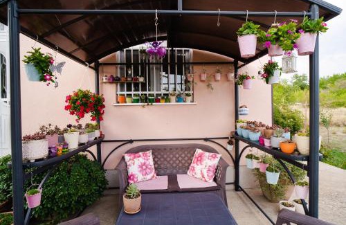 Citluk House | Sun Garden
