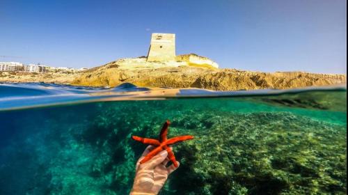 Xlendi Apartment | Sun Sea Living Gozo