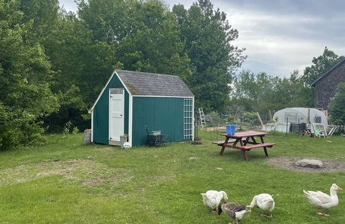 Milbridge House | Sun Shed Farm Stay