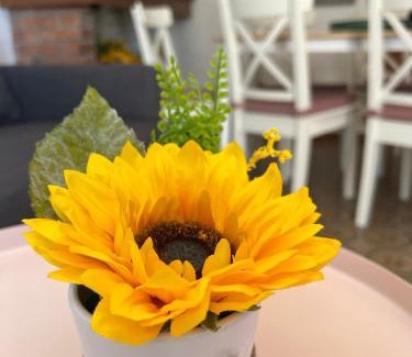 San Benedetto di Lugana Apartment | Sunflower apartament
