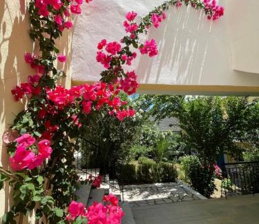 Kassiopi Apartment | Sunflower Apartments & Studios