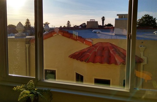 Upper Telegraph Apartment | Sunny 2 bedroom in Convenient, Walkable Bushrod Neighborhood