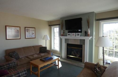 Bellaire Apartment | Sunny Days! Close to Everything at Summit