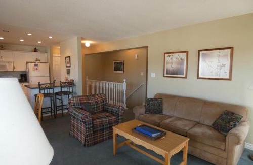 Bellaire Apartment | Sunny Days! Close to Everything at Summit