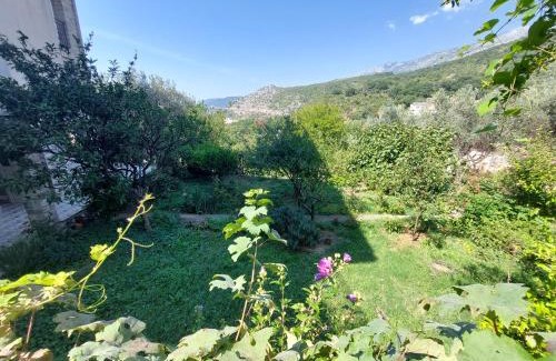 Przno House | Sunny Side Vala