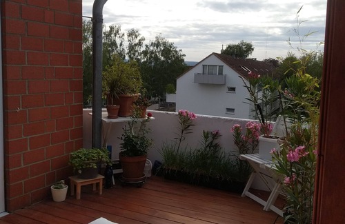 Weende Apartment | Sunny studio oasis