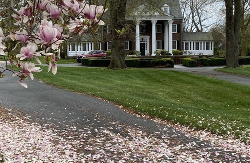 Milford House | Sunnybrae is for families, is pet friendly and is a Beautiful Wedding Venue.