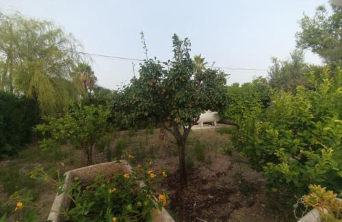 Scala di Furno House | Sunset Villa