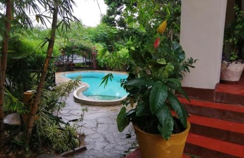 Kilifi Villa | Sunset villas Tropical Garden House