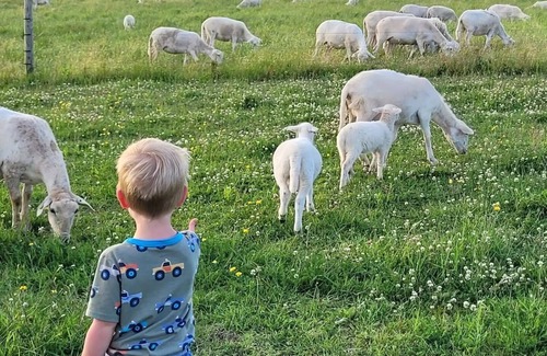 Andover House | Sunsets, Stars, Sleep near the Sheep. Centrally located to many rural towns.