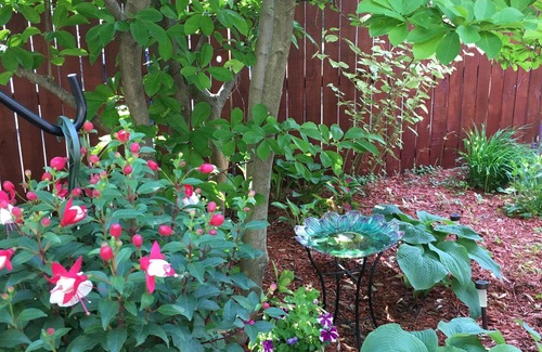 Des Moines Apartment | Super Sweet 1 Queen/private bath/laundry close to I-235 and all hospitals