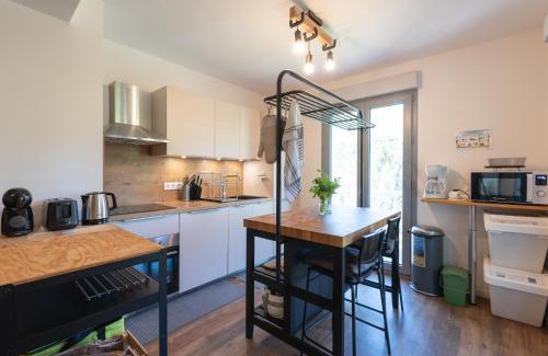 Bagneres-de-Bigorre Apartment | Superbe Appartement rénové