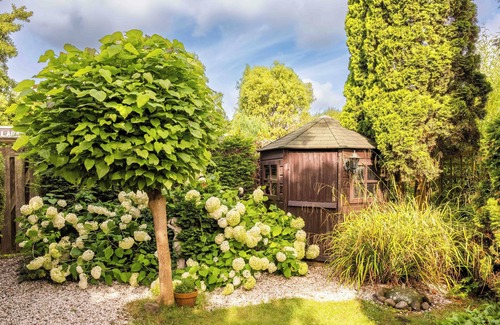 Warmenhuizen House | Surroundings Schoorl, Dune and Beach. Cozy house with garden on small park. Dog welcome