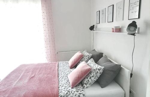 Banja Koviljaca Apartment | SvjetlanAlex 2