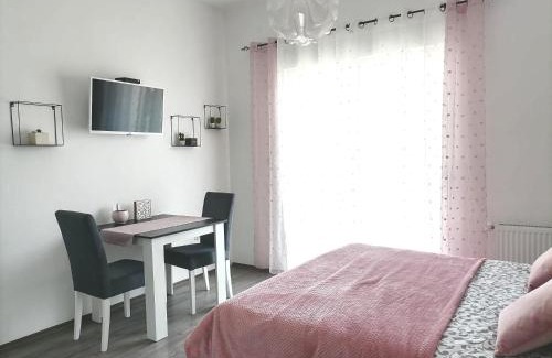 Banja Koviljaca Apartment | SvjetlanAlex 2