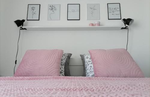 Banja Koviljaca Apartment | SvjetlanAlex 2