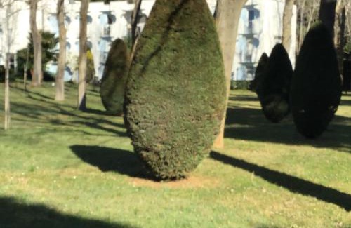La Petite Motte Apartment | T3 Les Peupliers proche Pasino et mer