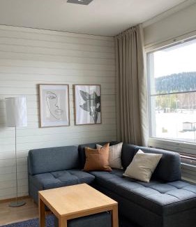 Tahkovuori Apartment | Tahko Chalets B402