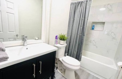 Sulphur Springs House | Tampas Unique, Centrally Located Home [Near Busch Gardens, USF, Midtown]