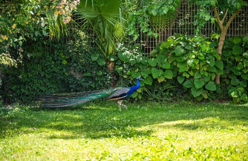 Villaggio delle Mimose House | Tanca De Mar - Domu Carignano