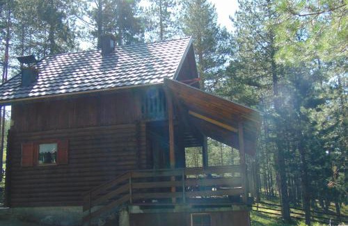 Konjska Reka Cabin | Tarski dom