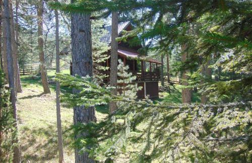 Konjska Reka Cabin | Tarski dom