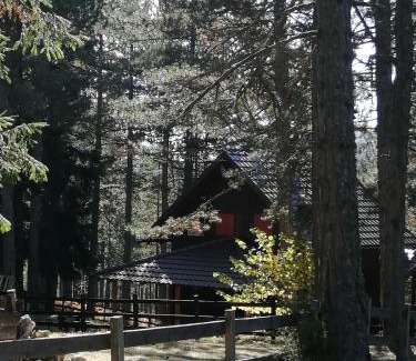 Konjska Reka Cabin | Tarski dom