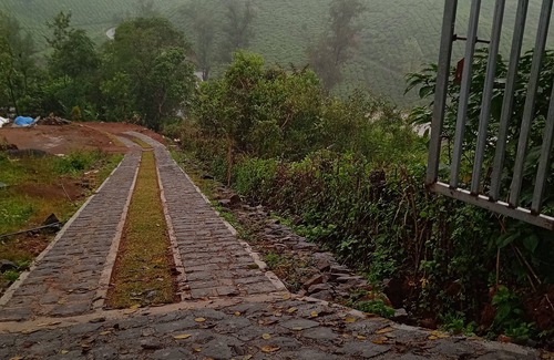 Vagamon Cottage | Tea Haven Homestay