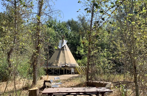 Eagle RV Rental | Teepee tipi in 10 acre Forest Riverfront in Eagle!