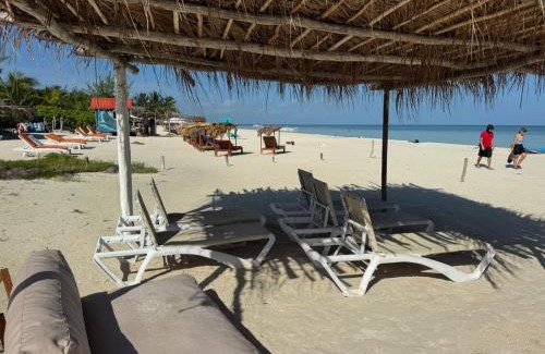 Isla Holbox Hotel | Tekio Beach Hotel