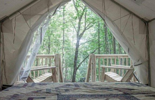 Gatlinburg - Pigeon Forge RV Rental | Tentrr Signature Site - Happy Hollow Hideaway Glade site