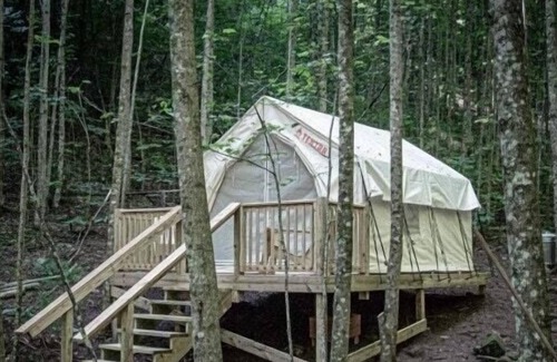 Gatlinburg - Pigeon Forge RV Rental | Tentrr Signature Site - Happy Hollow Hideaway Glade site