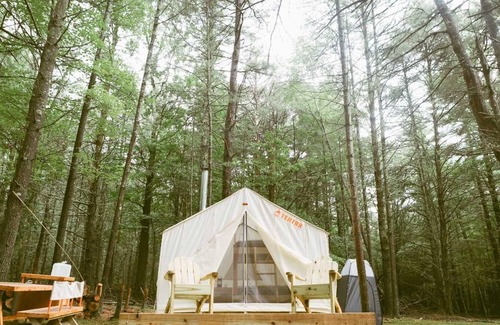 Mount Marion RV Rental | Tentrr Signature Site - Highwoods