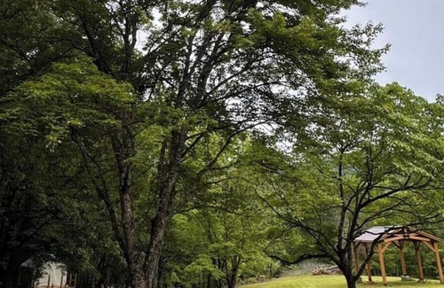 Franklin RV Rental | Tentrr Signature Site - The Ruby Creek Inn 1