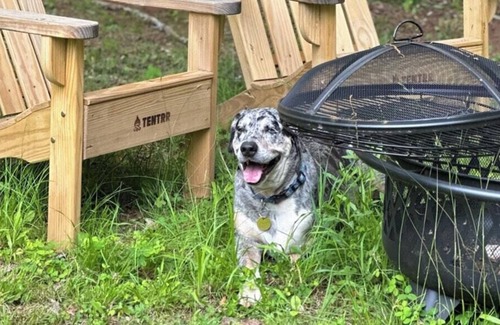 Franklin RV Rental | Tentrr Signature Site - The Ruby Creek Inn 2