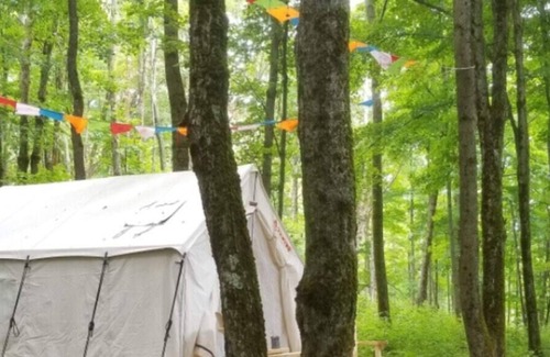 Hartwick RV Rental | Tentrr Signature Site - Briar Hill Respite