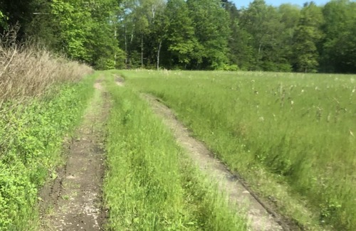 Thompson Ridge RV Rental | Tentrr Signature Site - Tranquility on the Farm: Mountain View