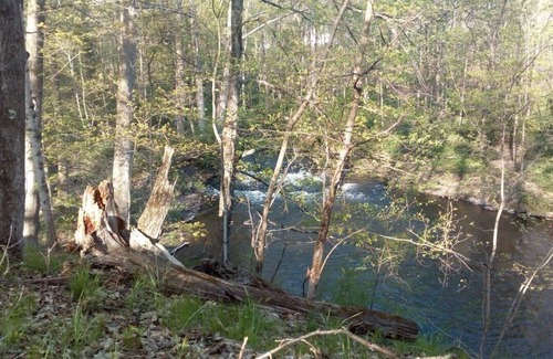 Stanfordville RV Rental | Tentrr Signature Site - A Riverwalk
