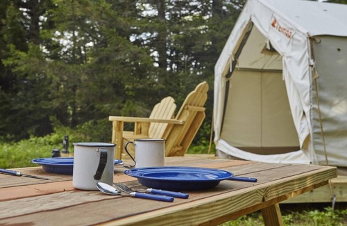 Mandeville RV Rental | Tentrr State Park Site - Louisiana Fontainebleau State Park - Woodland L - Singl