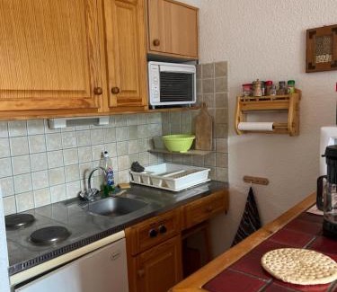 Barcelonnette Apartment | Terrasse Adroit T2 Barcelonnette - Wi-fi gratuit - 7 couchages