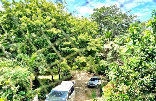 Diani Beach Apartment | Tessy Diani